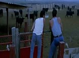 young Spanish bullfighters